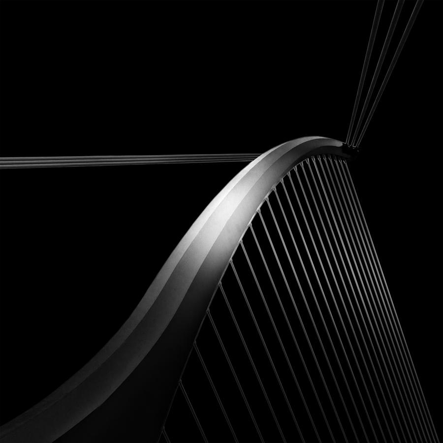 Abstract Photograph - Like A Bird by Olavo Azevedo
