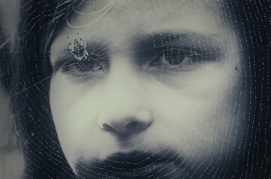 Spider Photograph - Like A Prison by Mirjam Delrue