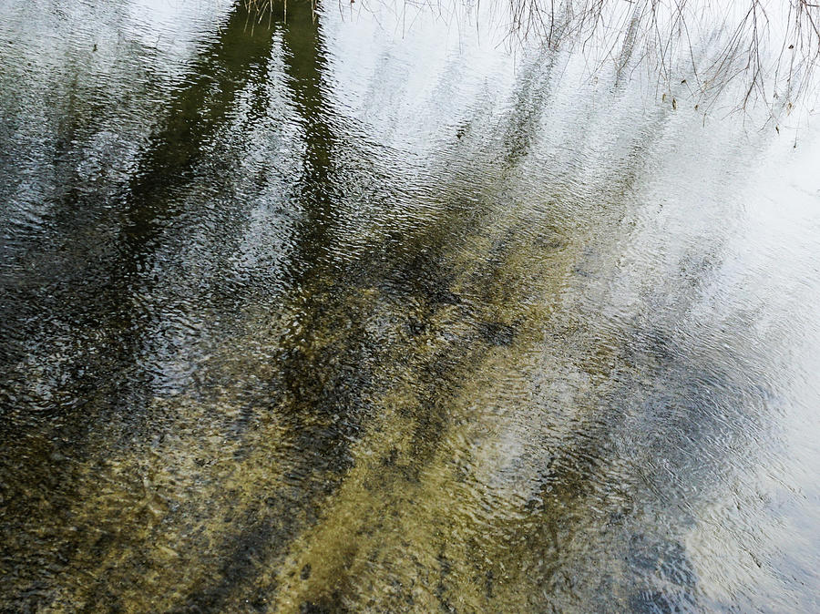 Like Klimt on Water Photograph by Tana Reiff