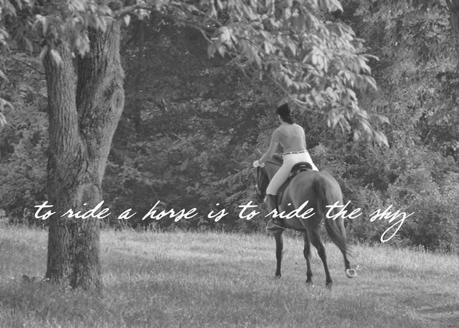 LIKE PEGASUS quote Photograph by Dressage Design