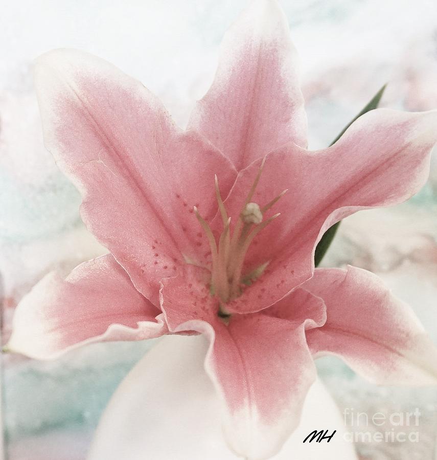 Lily Photograph - Lil Lily by Marsha Heiken