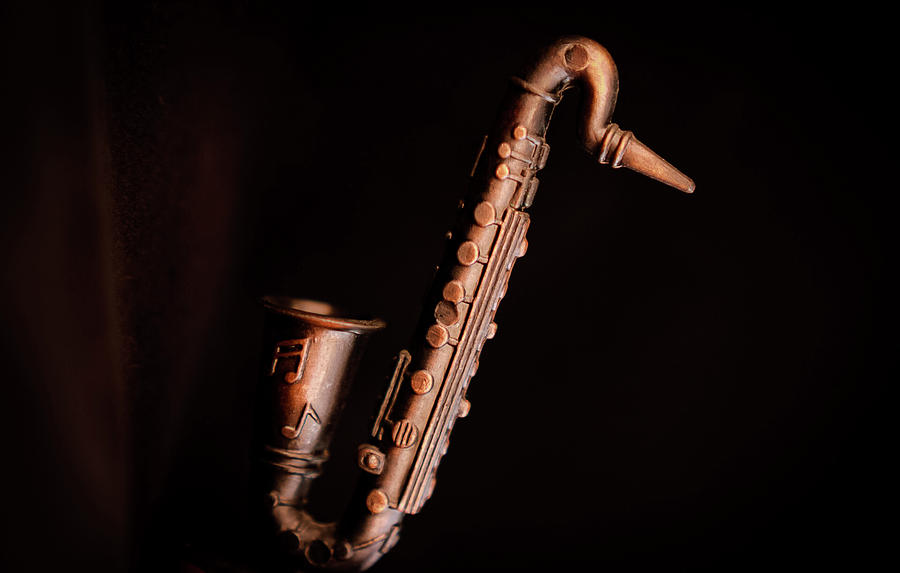 Lil Saxophone 2 Photograph by Anamar Pictures