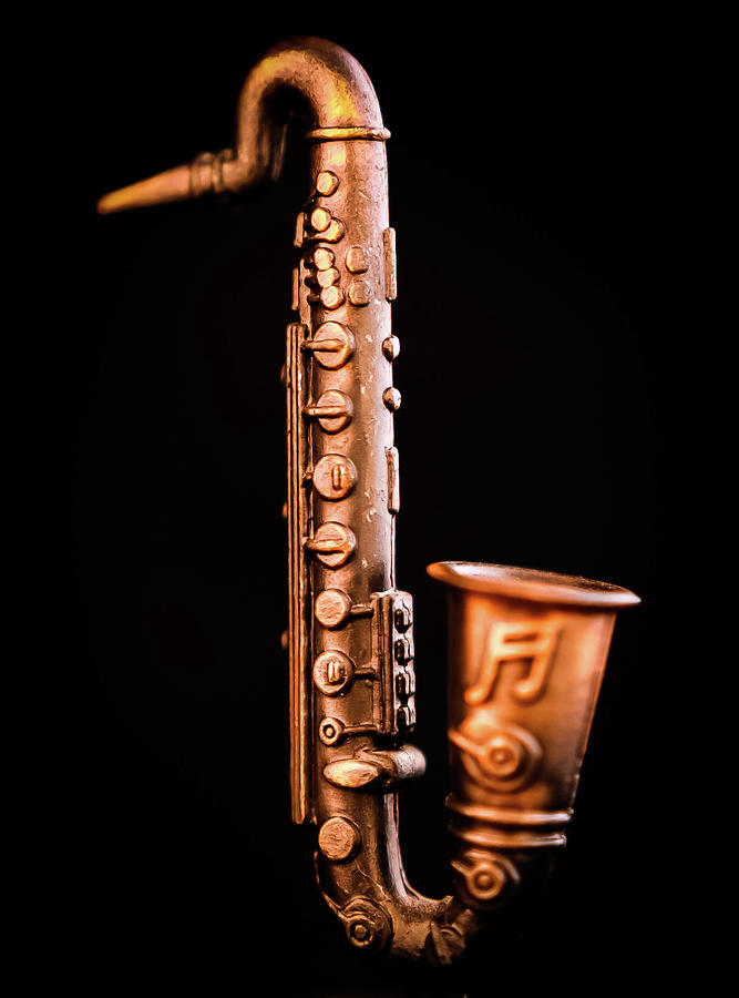 Lil Saxophone 3 Photograph by Anamar Pictures