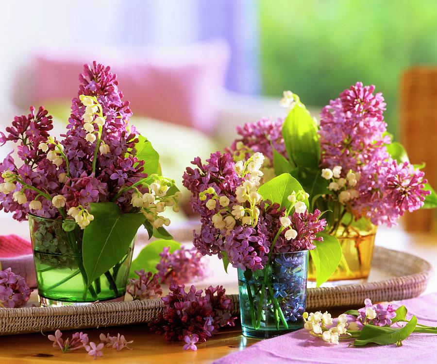 Lilac And Lilies-of-the-valley As Table Decoration Photograph by Friedrich Strauss