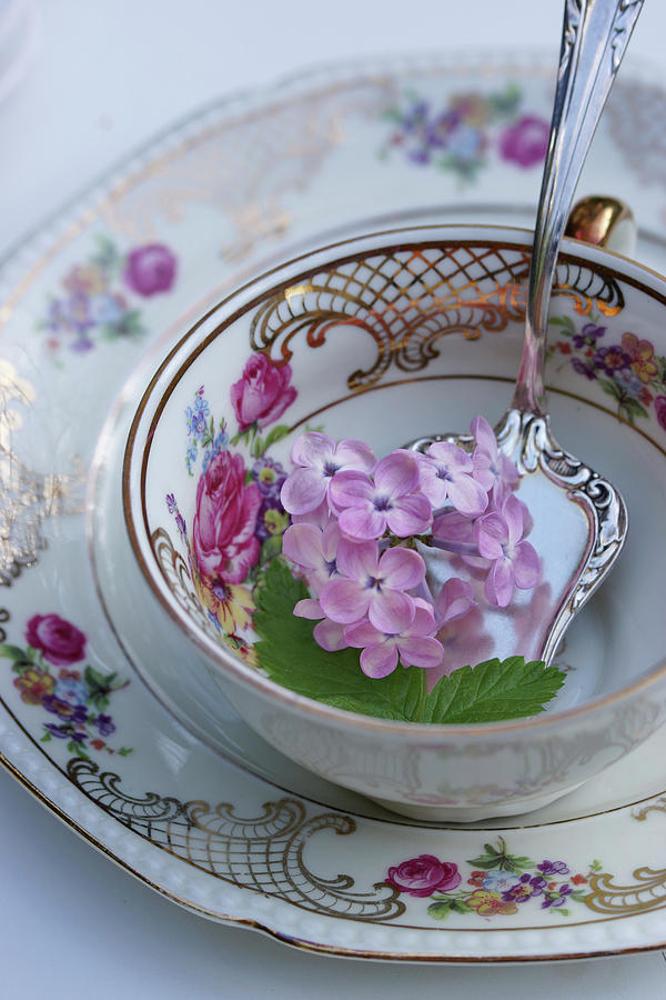 Lilac Blossom In An Antique Collectors Cup Photograph by Angelica Linnhoff