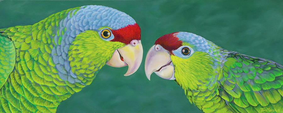 Parrot Painting - Lilac Crowned Amazons by Tim Marsh
