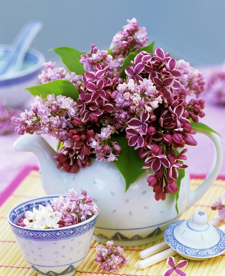 Lilac In Rice-patterned Teapot And Bowl Photograph by Friedrich Strauss