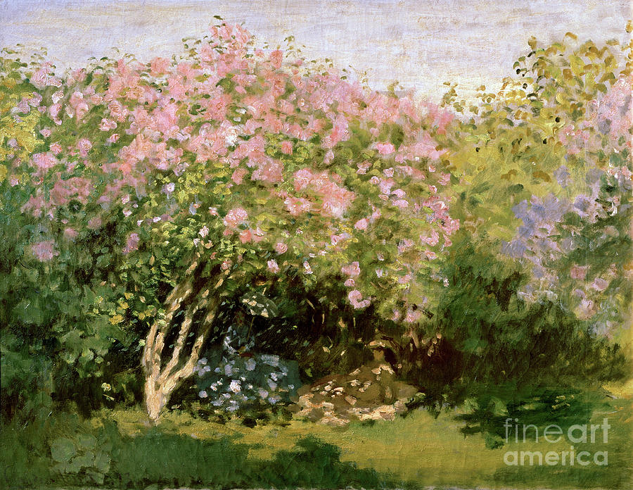 Lilac In The Sun, 1872-1873. Artist Drawing by Heritage Images