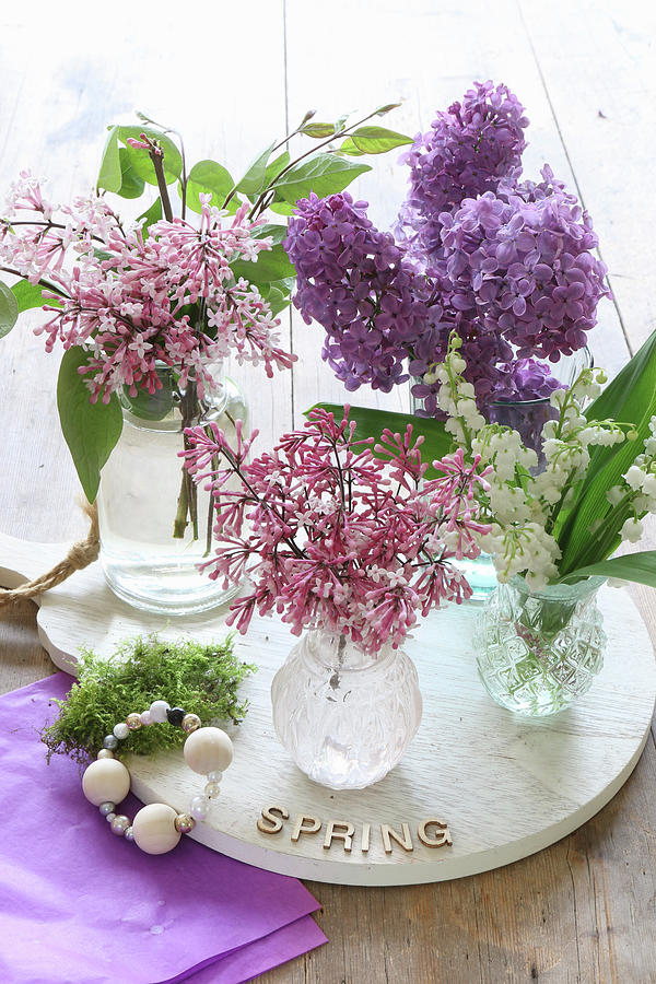 Lilac, Meyer Lilac And Lily-of-the-valley In Various Vases Photograph by Regina Hippel