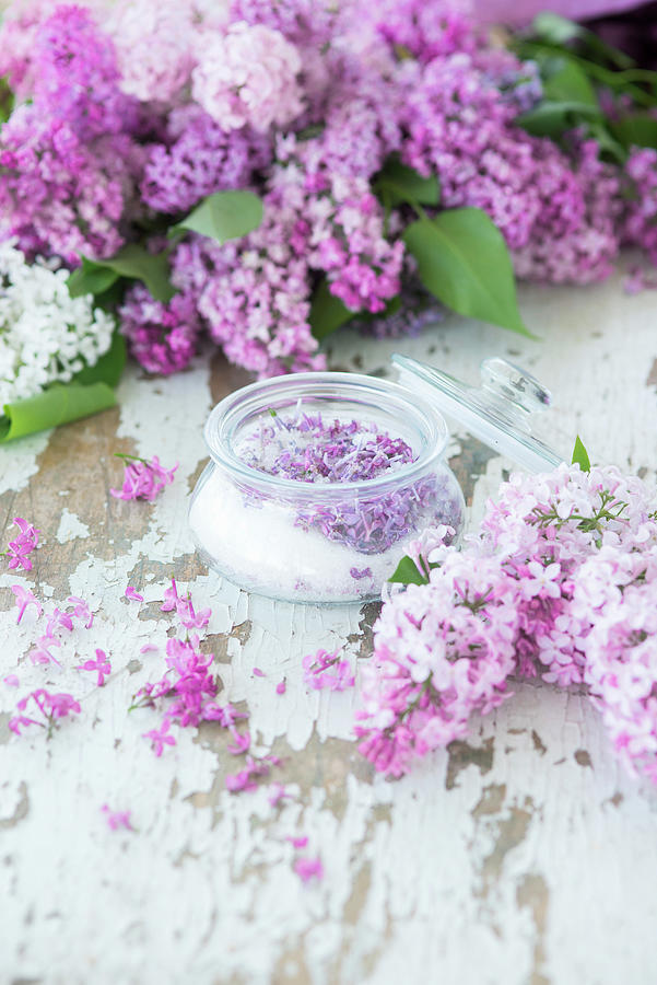 Lilac Sugar And Purple Lilac On A White Wooden Surface Photograph by Irina Meliukh