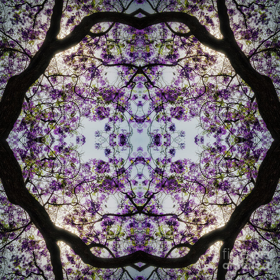 Lilac Tree, 2015, Digital Image Digital Art by Ant Smith