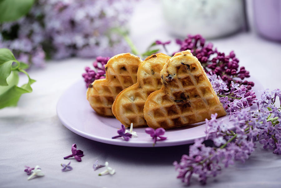 Lilac Waffles Photograph by Kati Neudert