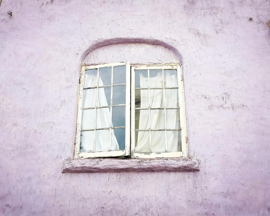 Lilac Window Photograph by Lupen Grainne