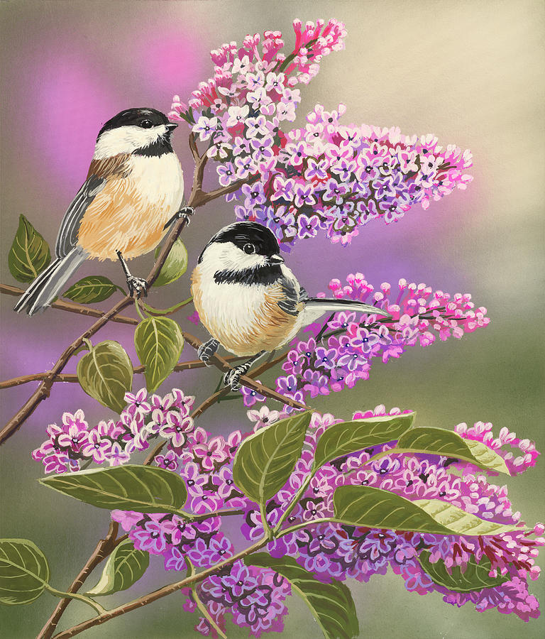 Bird Painting - Lilacs And Chickadees by William Vanderdasson