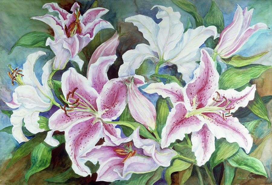 Lilies Of The Field Painting by Joanne Porter | Fine Art America