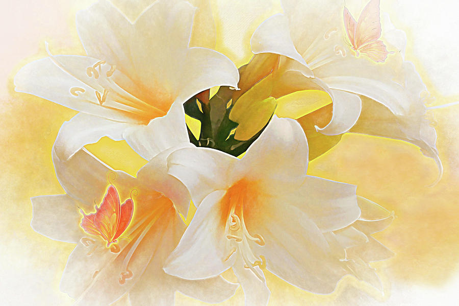 Flowers Digital Art - Lilly by Jasmina Seidl Flowers Digital Art - Lilly by Jasmina Seidl
