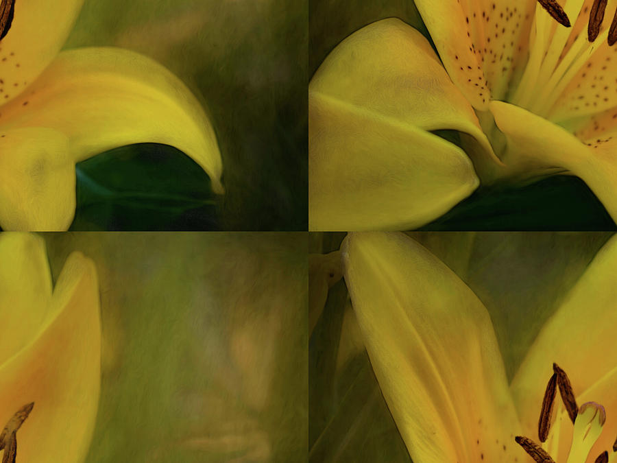 Abstract Painting - Lily Abstract by Heather Buechel