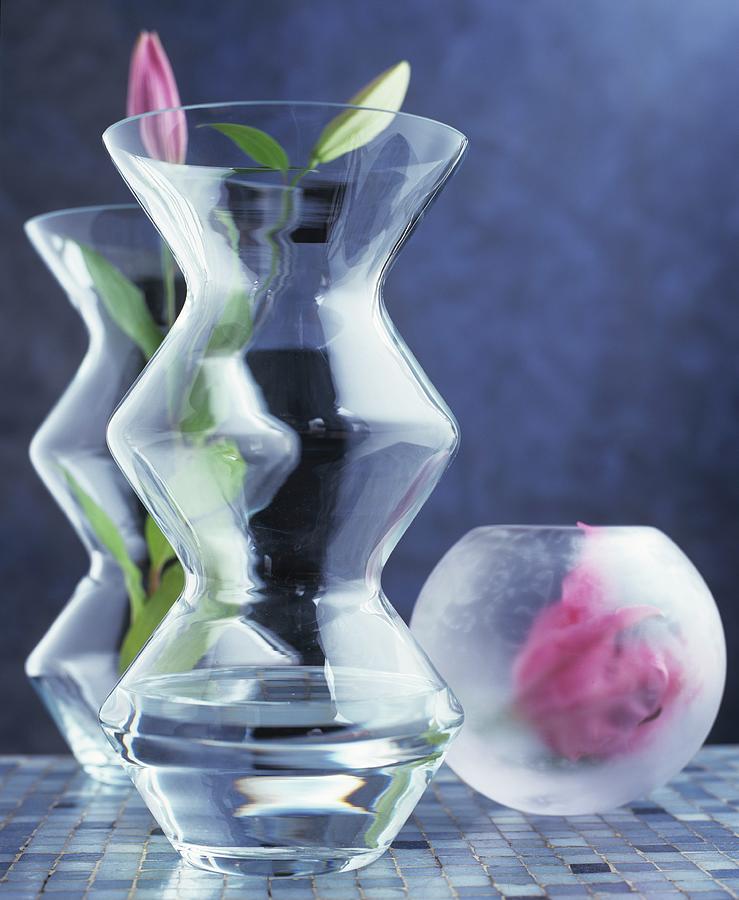 Lily Buds In Round And Angular Vases Made From Matt And Clear Glass Photograph by Matteo Manduzio