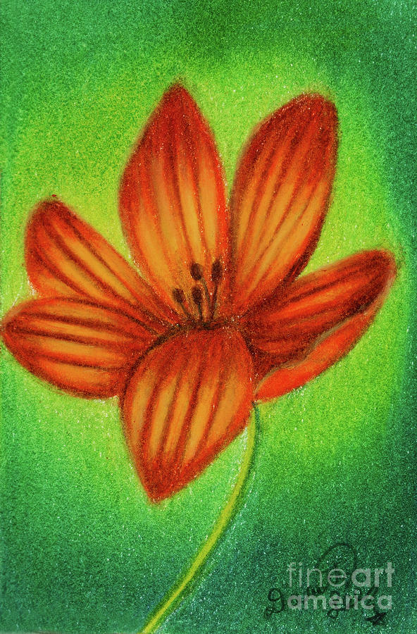Lily Painting by Dorothy Lee