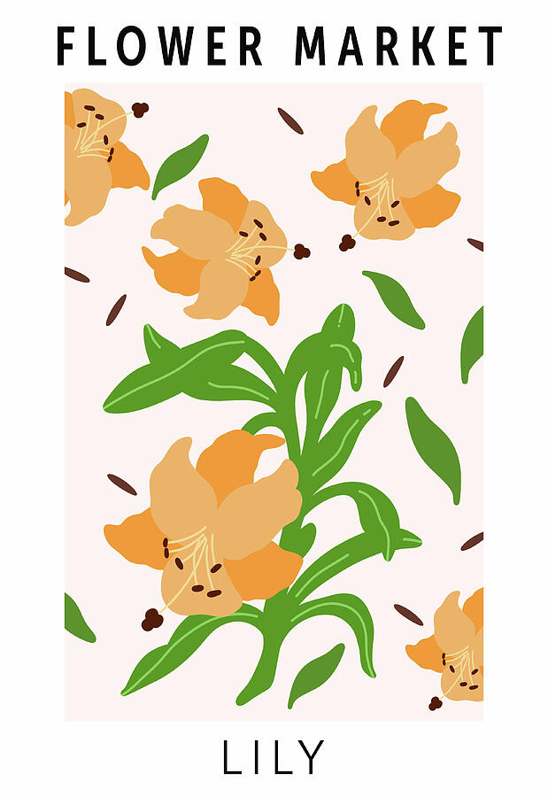 Lily Flower Market Poster Design Digital Art by Trendy Art Lily Flower Market Poster Design Digital Art by Trendy Art