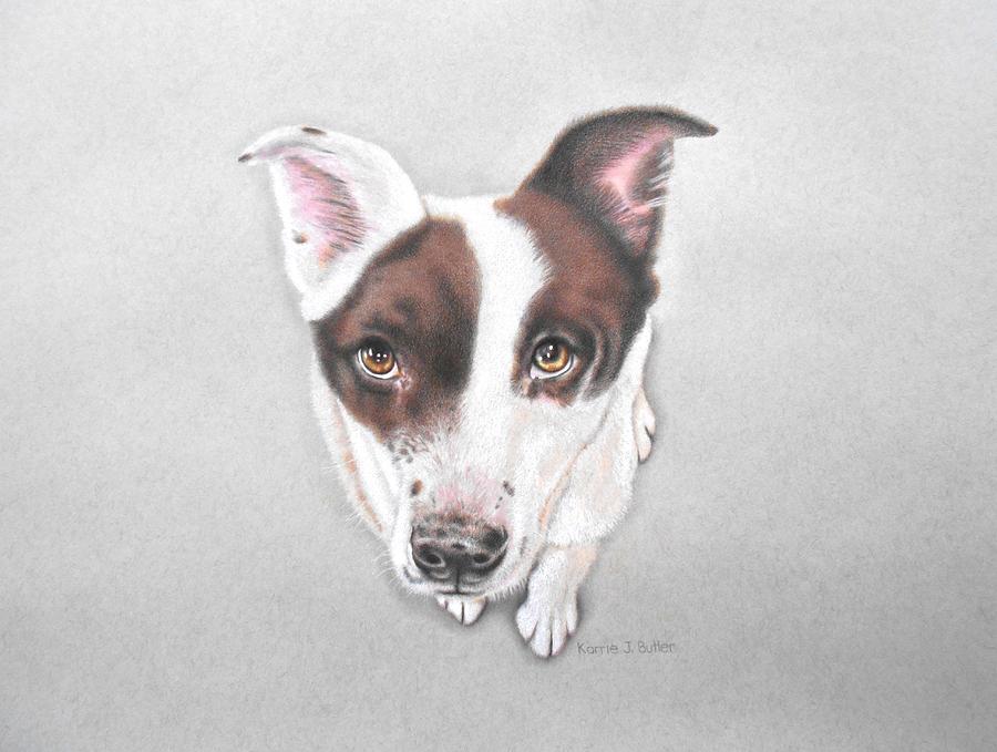 Dog Drawing - Lily by Karrie J Butler Dog Drawing - Lily by Karrie J Butler