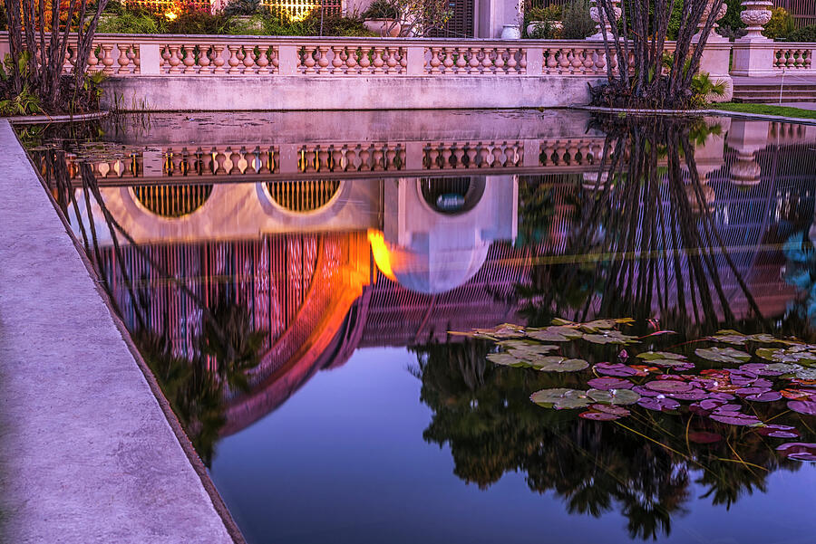 Lily Pads And A Botanical Reflection Photograph By Joseph S Giacalone