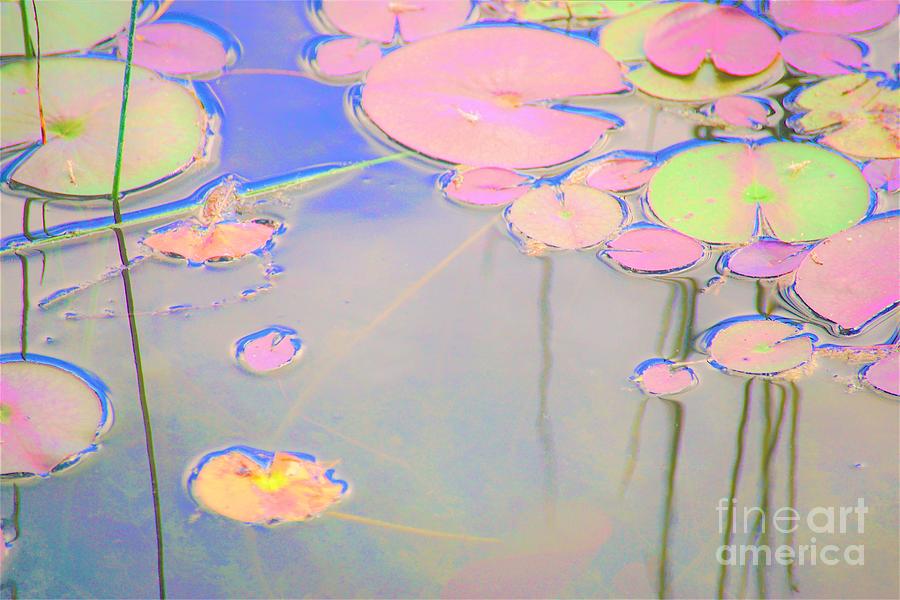 Lily Pads Photograph by Merle Grenz