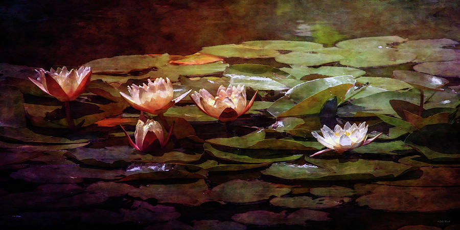 Lily Pond 1820 IDP_2 Photograph by Steven Ward