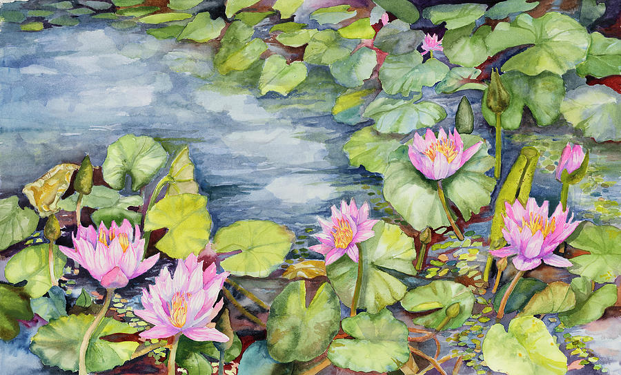 Flower Painting - Lily Pond by Joanne Porter
