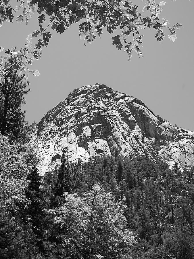 Lily Rock In Black And White Photograph by Glenn McCarthy Art and Photography