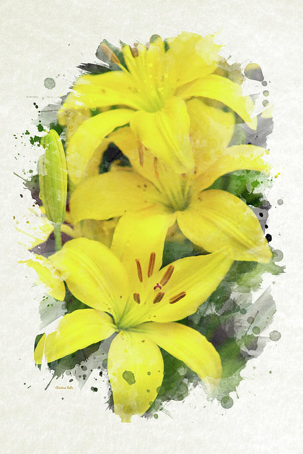 Lily Mixed Media - Lily Watercolor Art by Christina Rollo