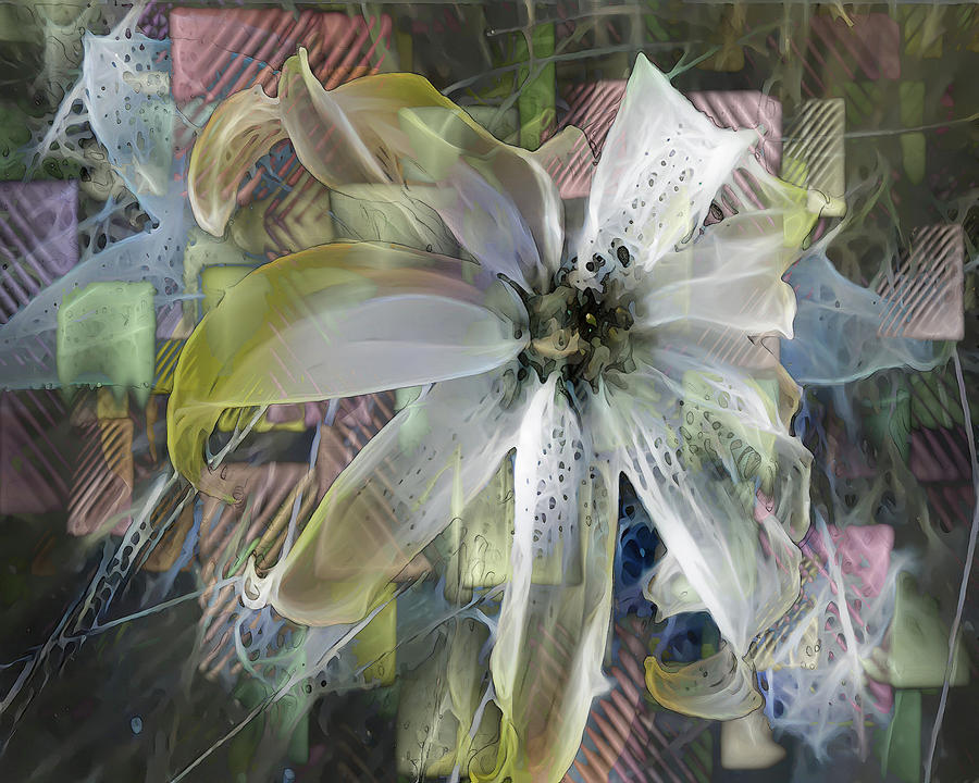 Lily With Squares Digital Art by DonaRose