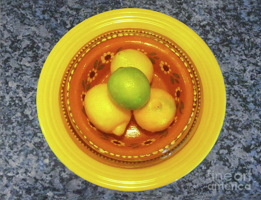 Lime With Lemons Photograph by Lucyna A M Green