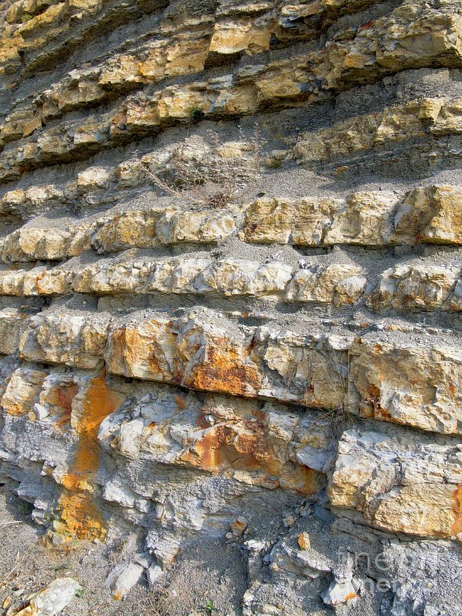 Limestone And Shale Strata Photograph by Martyn F. Chillmaid/science Photo Library