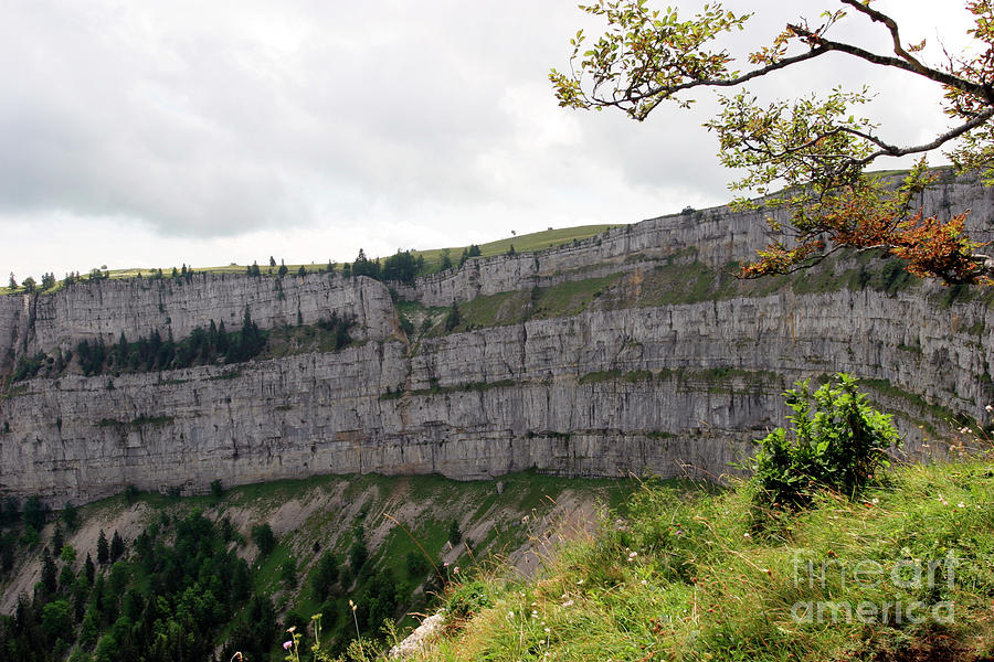 Limestone Cliffs Photograph by Michael Szoenyi/science Photo Library
