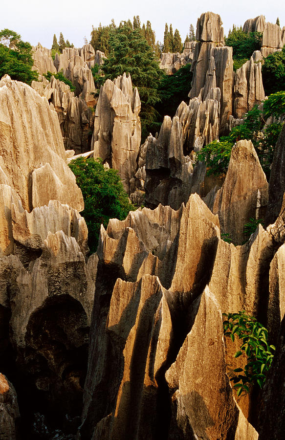 Limestone Karst Formations In Stone Photograph by Richard Ianson