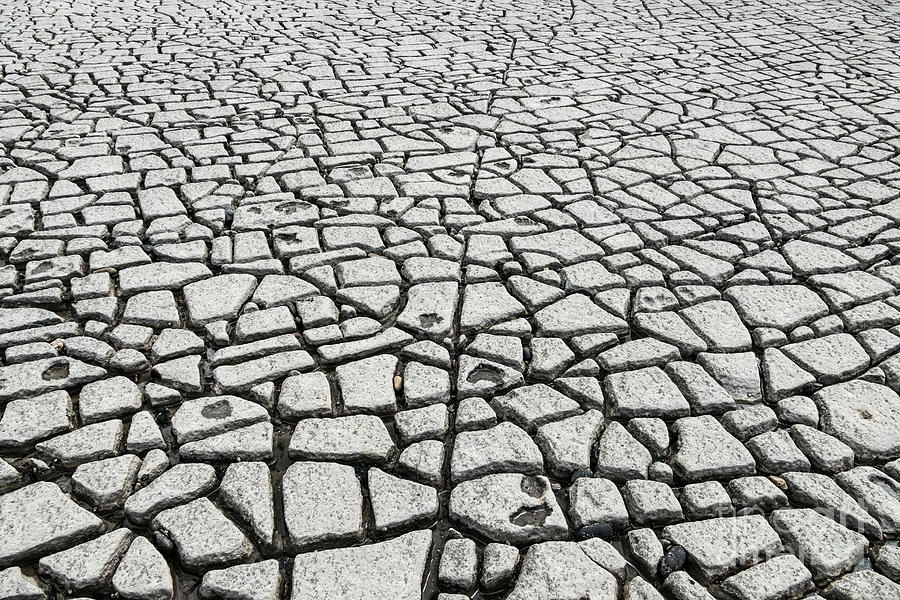 Limestone Wave-cut Platform Photograph by Science Photo Library Limestone Wave-cut Platform Photograph by Science Photo Library