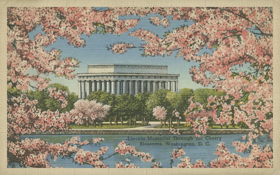 Lincoln Memorial & Cherry Blossoms Painting by Unknown