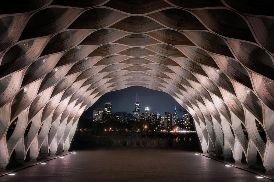 Lincoln Park Pavilion Photograph by John Williams - Fine Art America