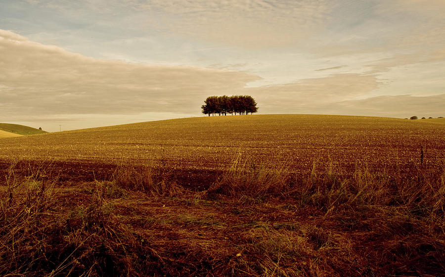 Lincolnshire Wolds Photograph by Steve Haseldine