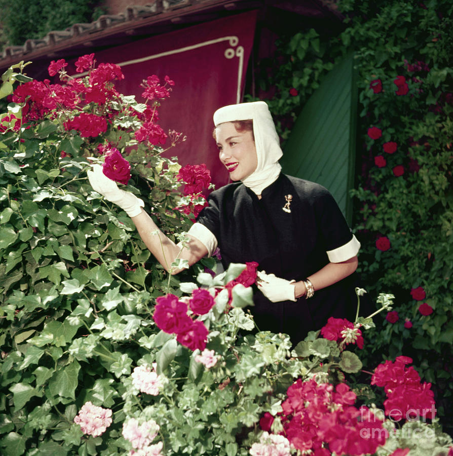 Linda Power In Rose Garden Photograph by Bettmann