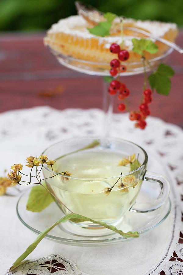 Linden Blossom Tea, Honeycomb And Redcurrants On A Garden Table Photograph by Yelena Strokin
