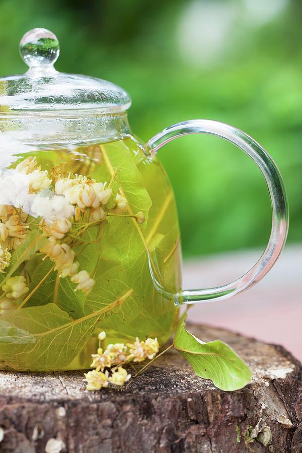 Linden Blossom Tea In A Glass Teapot Photograph by Yelena Strokin