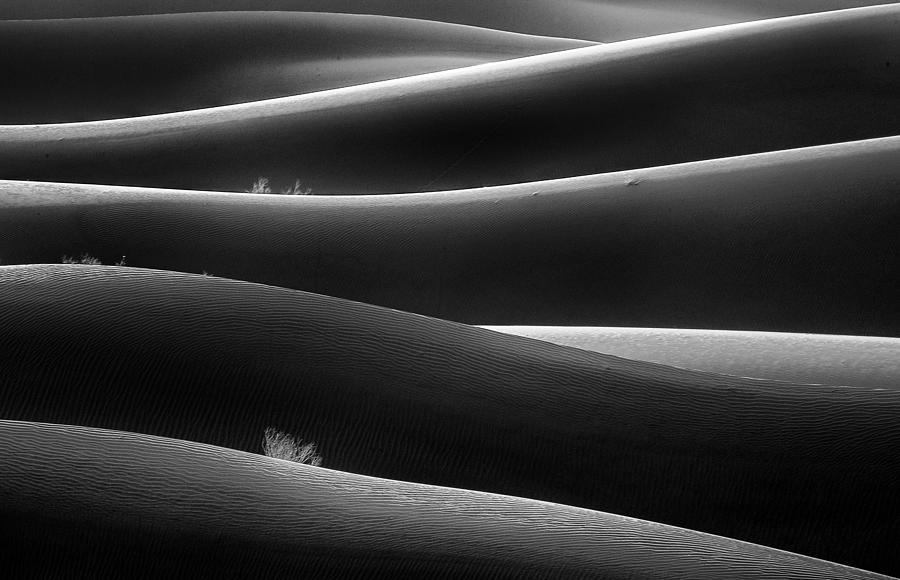 Nature Photograph - Line & Nature by Amir Hossein Kamali