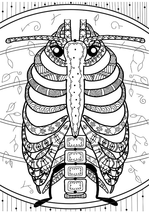 Line Art Illustration. The human chest in the form of a beetle. The ...