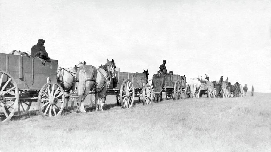Line of horse-drawn carts, Frobisher, Saskatchewan Painting by Celestial Images