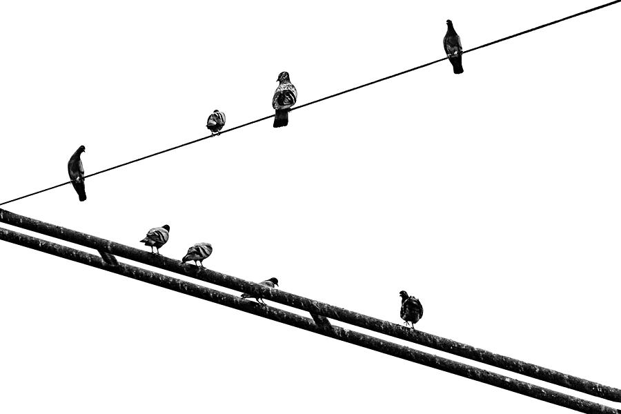 Linear Relaxation Photograph by Hamid Mohammad Hossein Zadeh Hashemi ...