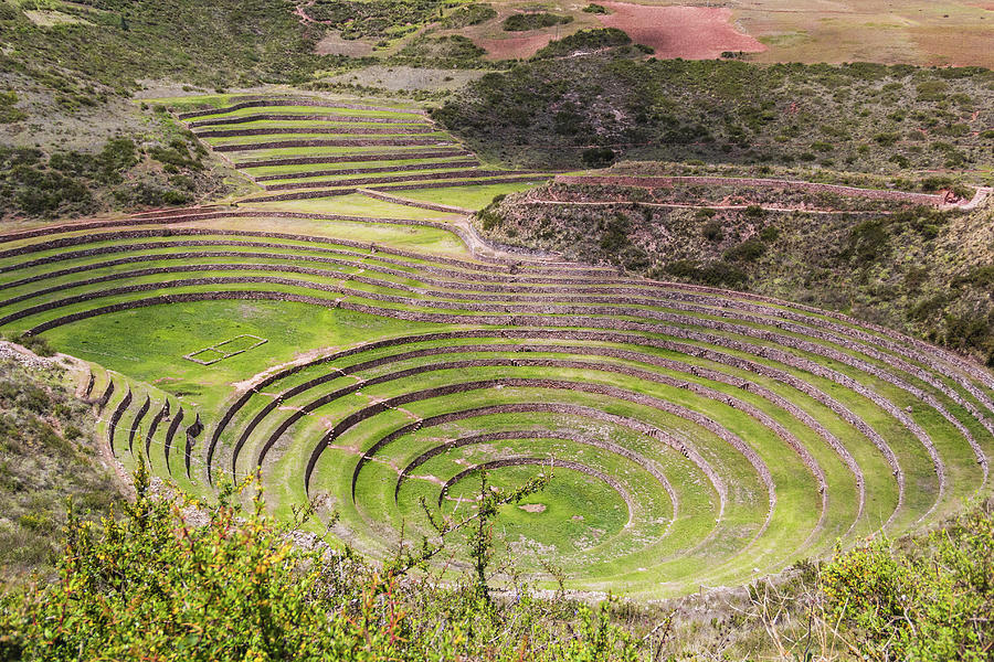 Lineas De Nazca Cusco Peru Photograph by Cavan Images - Fine Art America