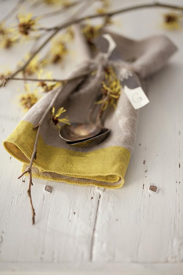 Linen Napkin And Cutlery Decorated With Flowering Branches Of Witch Hazel hamamelis Photograph by Martina Schindler
