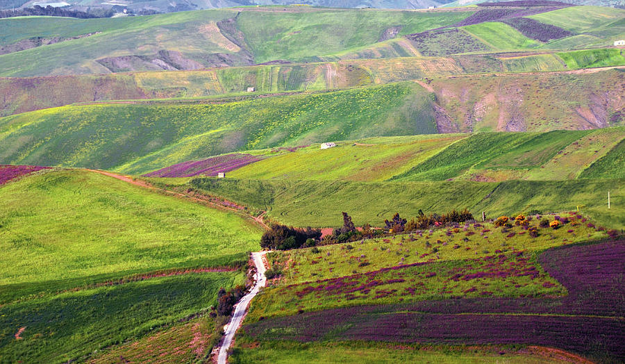 Lines and colors in the Sicilian province of Catalnissetta Photograph by RicardMN Photography